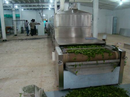 微波茶葉殺青機(jī)